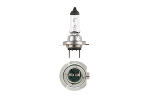 Narva 12V H7 55W Halogen Headlight Globe