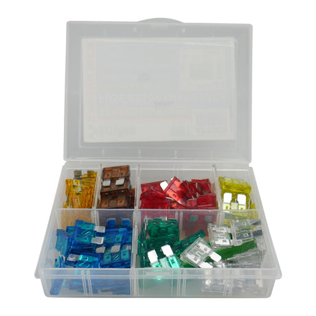 Blade Fuse Assortment Pack 100 Piece