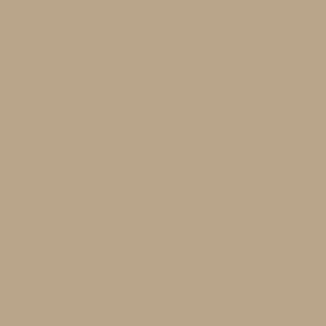 Dupli-Color Vinyl & Fabric Spray High Performance Desert Sand 312g